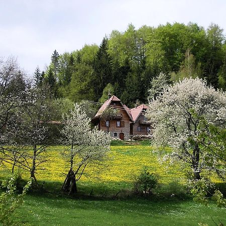 Konaci Zaovljanska Jezera Apartamento Zaovine Exterior foto