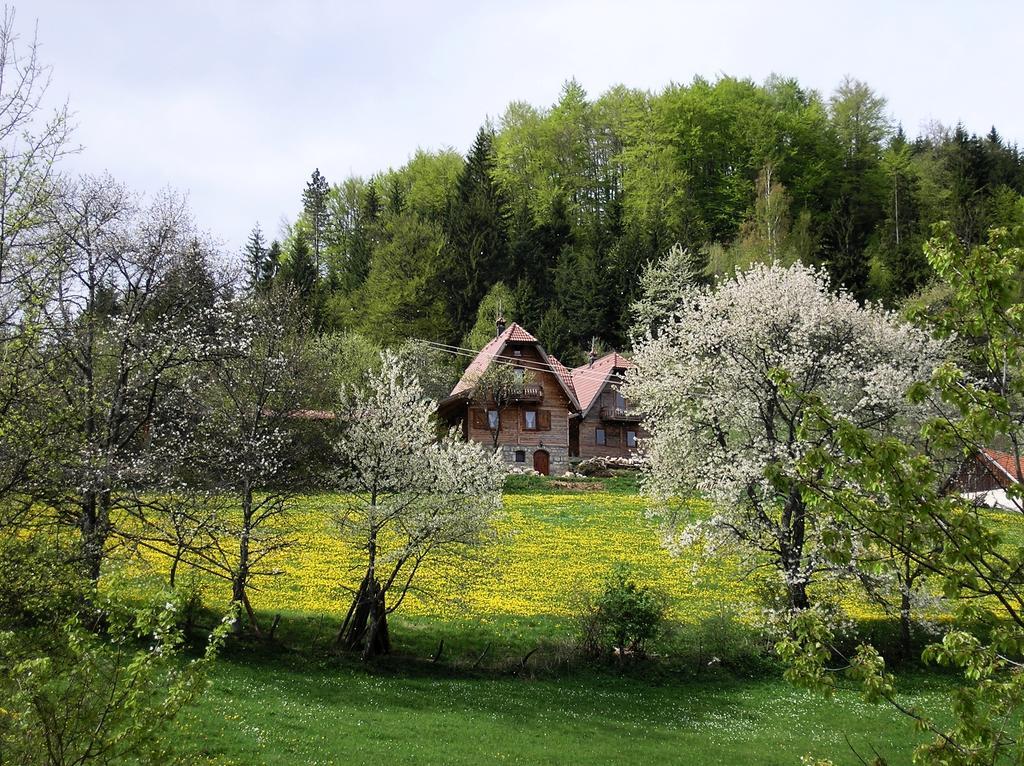 Konaci Zaovljanska Jezera Apartamento Zaovine Exterior foto