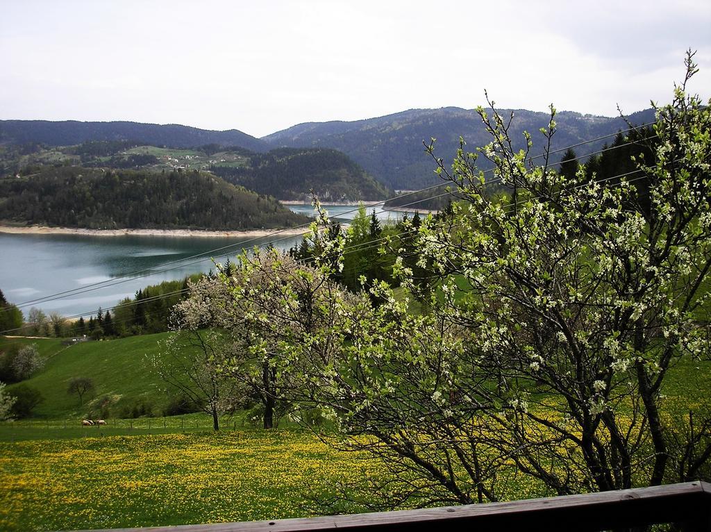 Konaci Zaovljanska Jezera Apartamento Zaovine Exterior foto