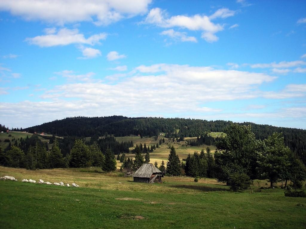 Konaci Zaovljanska Jezera Apartamento Zaovine Exterior foto