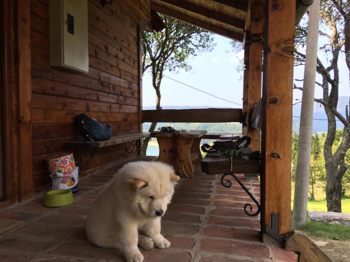 Konaci Zaovljanska Jezera Apartamento Zaovine Exterior foto